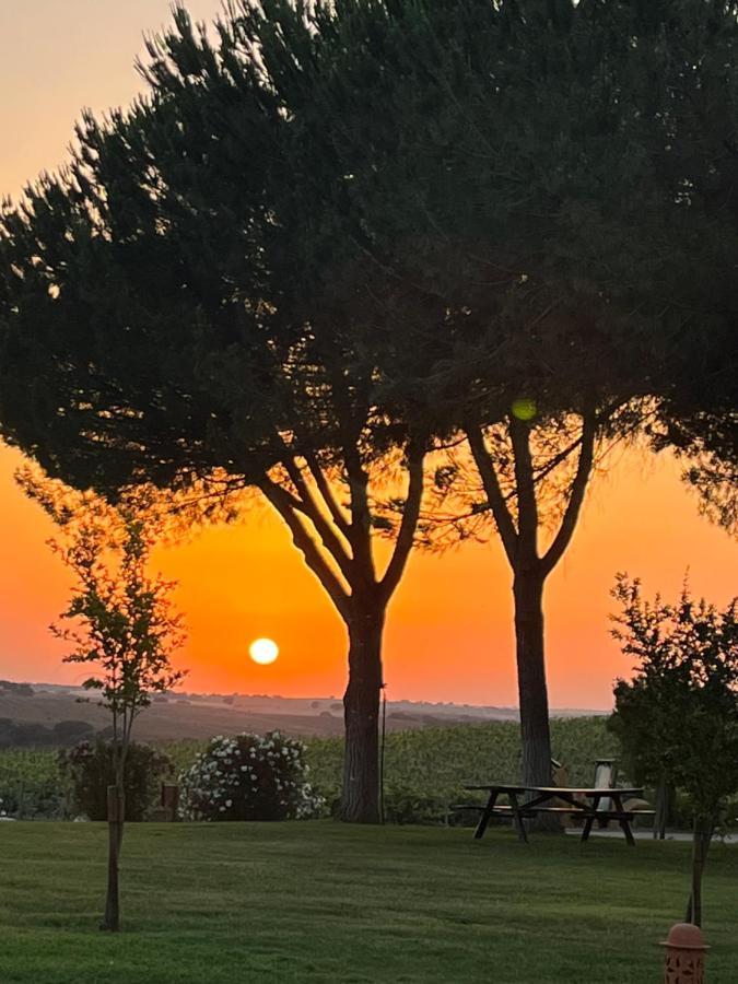 Quinta Da Amoreira Ferreira Do Alentejo Luaran gambar