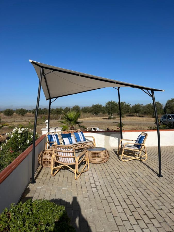 Quinta Da Amoreira Ferreira Do Alentejo Luaran gambar