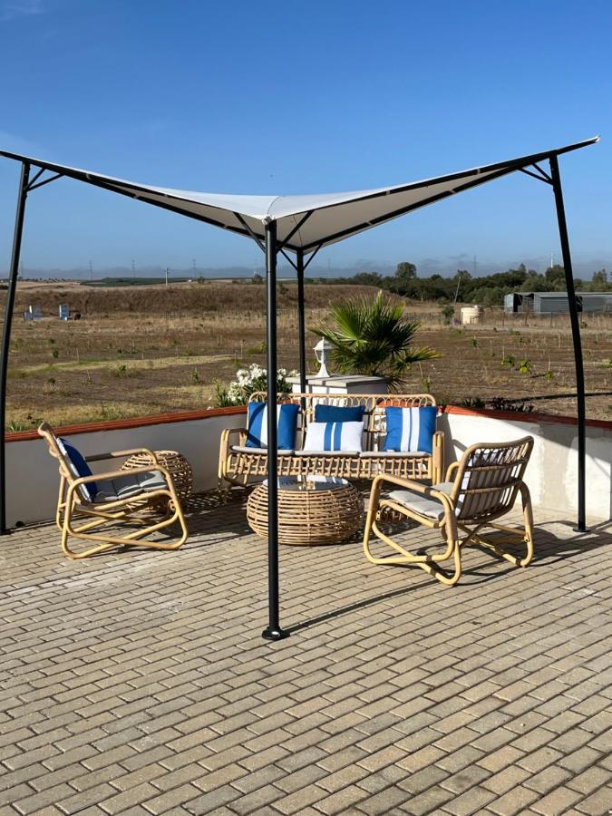 Quinta Da Amoreira Ferreira Do Alentejo Luaran gambar